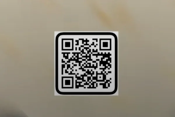 Scan this VN QR code